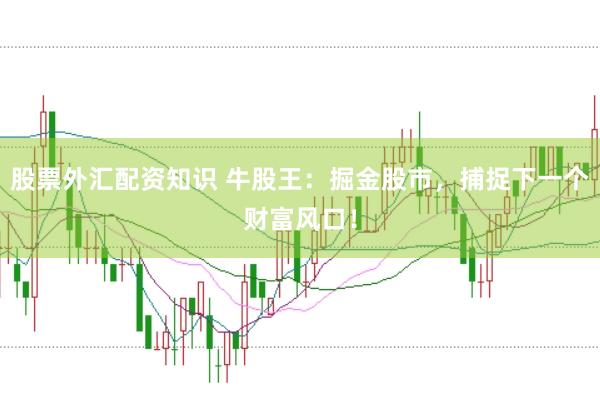 股票外汇配资知识 牛股王：掘金股市，捕捉下一个财富风口！