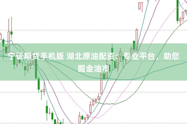 宁证期货手机版 湖北原油配资：专业平台，助您掘金油市