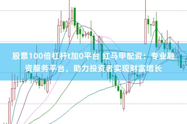 股票100倍杠杆t加0平台 红马甲配资：专业融资服务平台，助力投资者实现财富增长