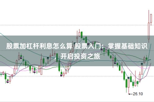 股票加杠杆利息怎么算 股票入门：掌握基础知识，开启投资之旅