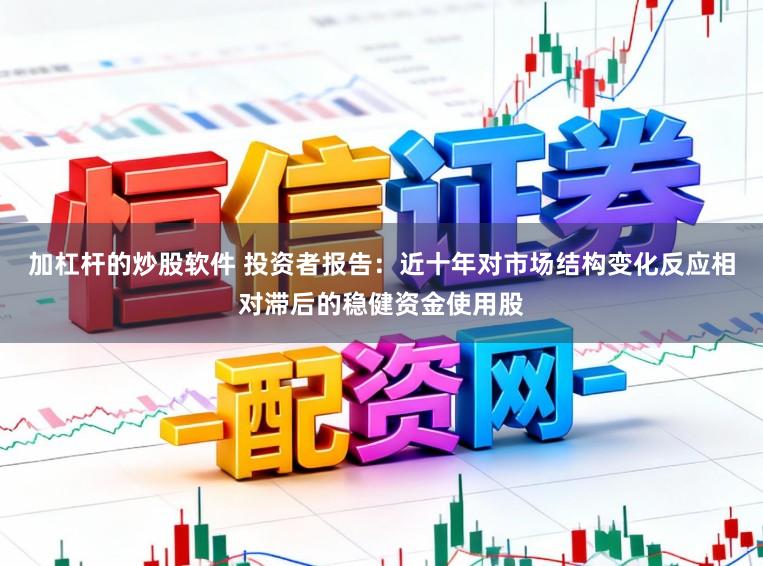 加杠杆的炒股软件 投资者报告：近十年对市场结构变化反应相对滞后的稳健资金使用股