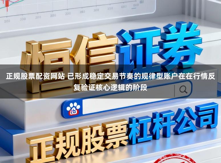 正规股票配资网站 已形成稳定交易节奏的规律型账户在在行情反复验证核心逻辑的阶段