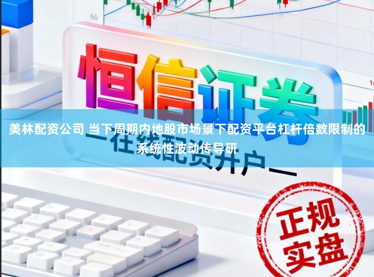美林配资公司 当下周期内地股市场景下配资平台杠杆倍数限制的系统性波动传导研